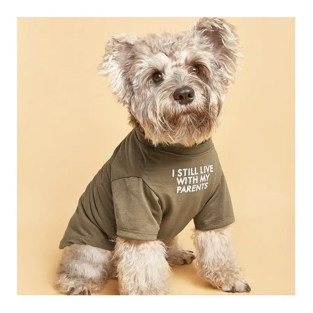 I Still Live With My Parents Dog Shirt Various Sizes NEW🦋